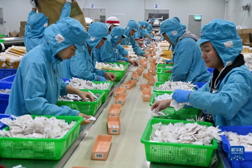 福建漳州 全力推进食品产业转型升级